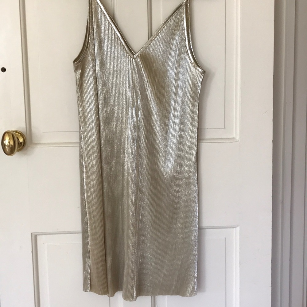 Pookie and Sebastian Pleated Mini Dress